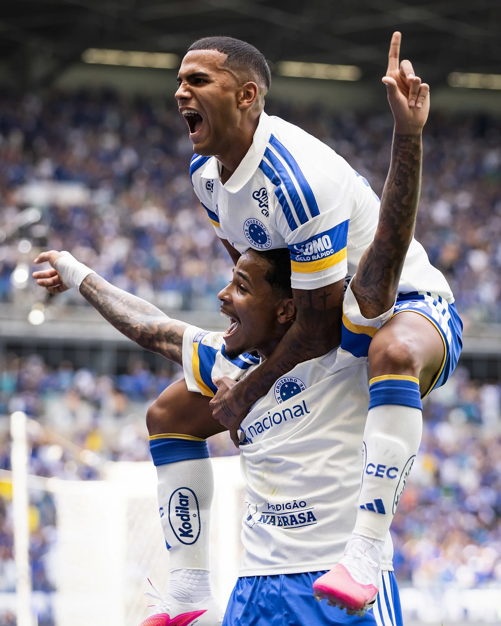 Cruzeiro divide espaço dos reforços em busca de titulares