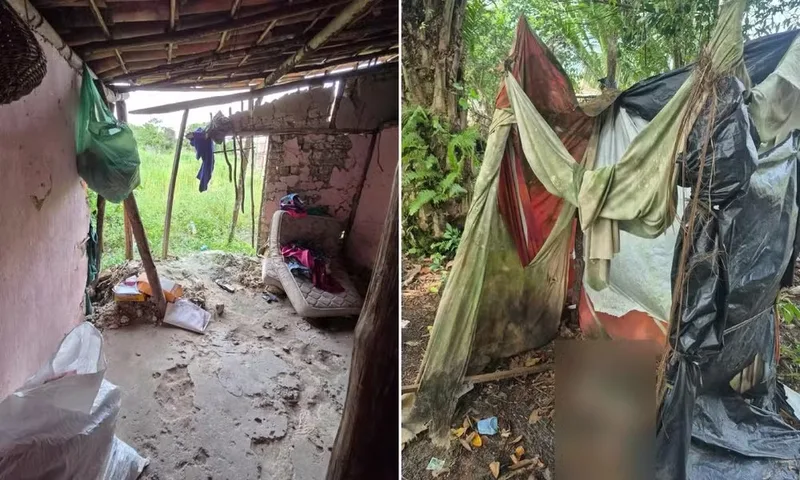 Onze trabalhadores são retirados de fazenda de piaçava na Bahia