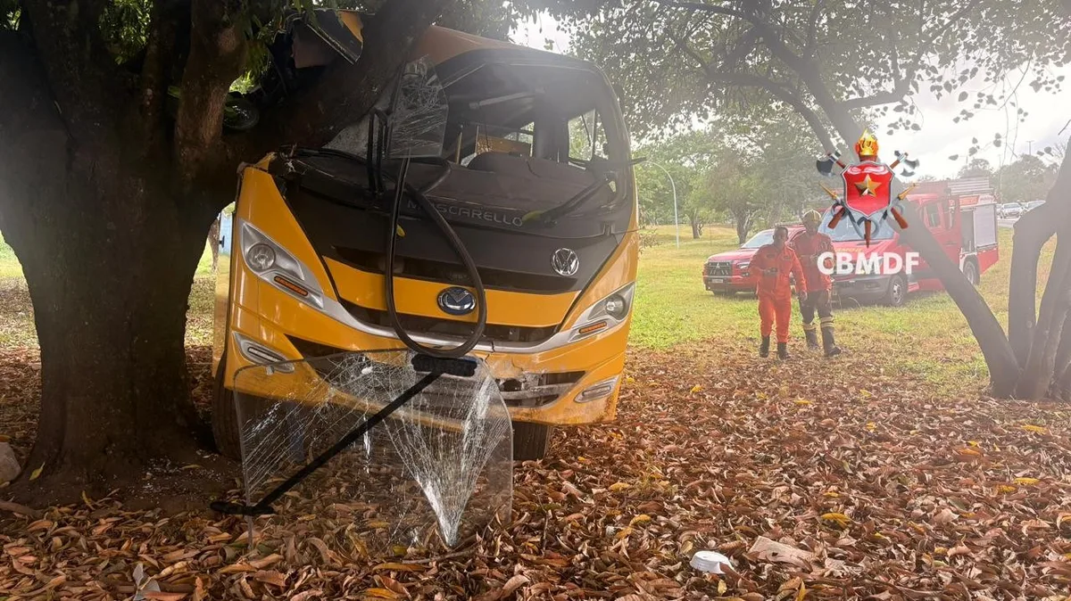 Atendimento no local após ônibus escolar atingir árvore na BR-020