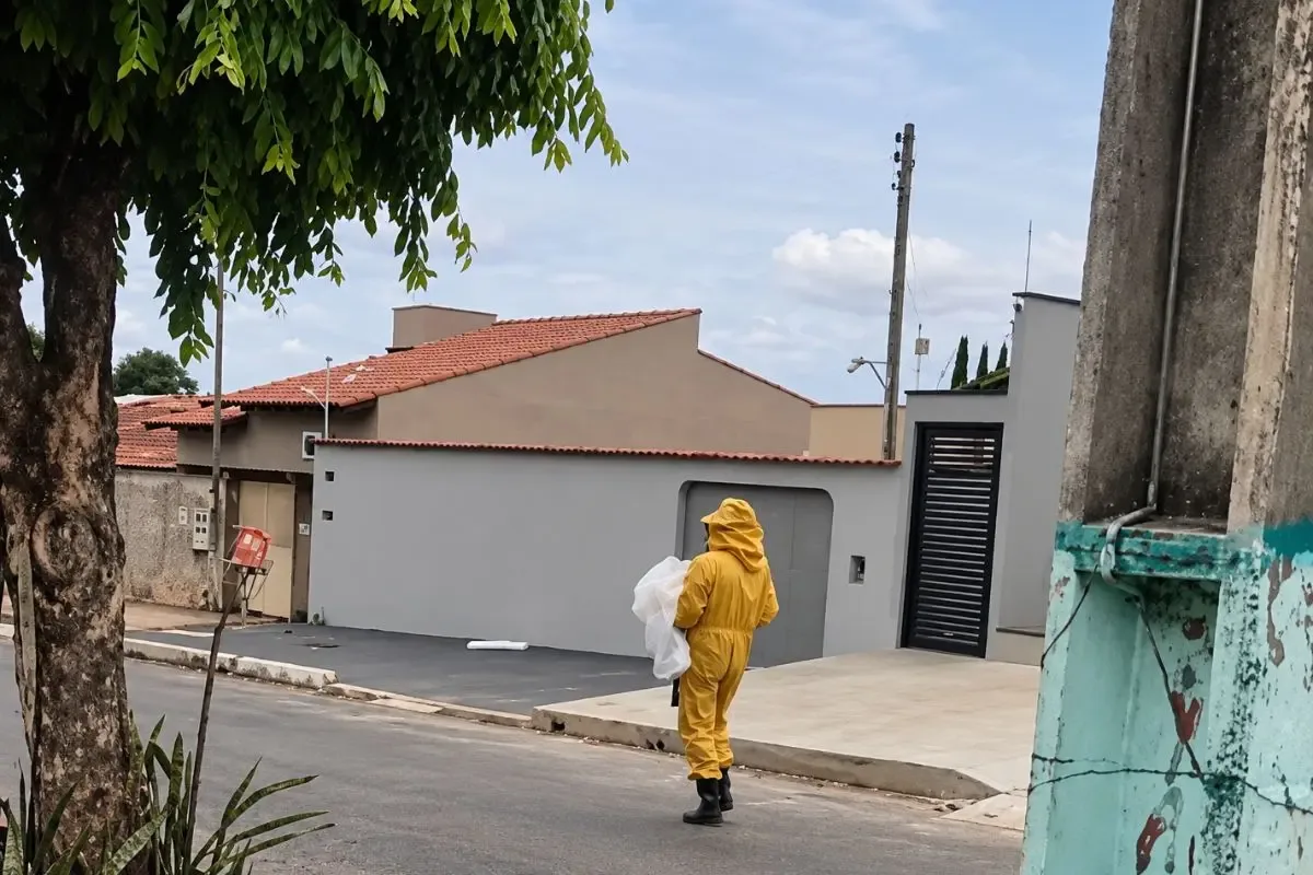 Enxame de abelhas mata cachorro e força moradores a deixar ruas em Caldas Novas