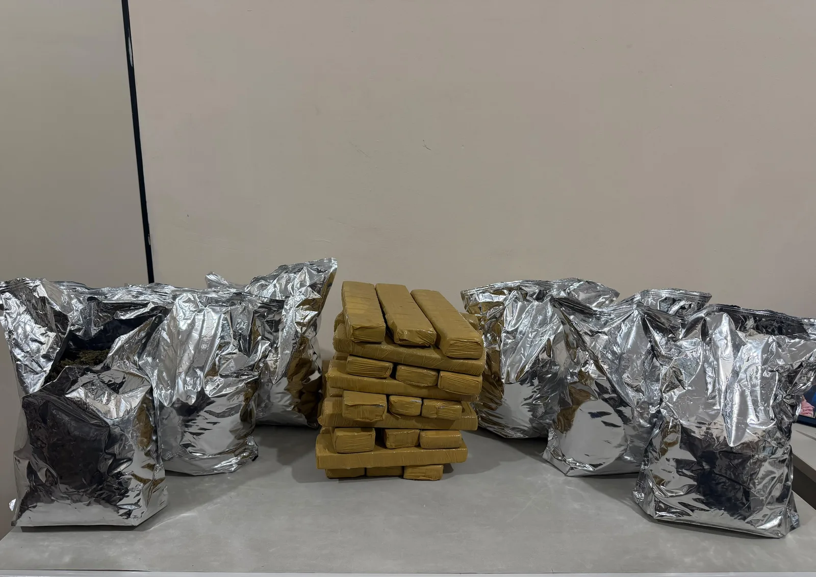 Polícia apreende maconha e K9 escondidas em laje em Salvador