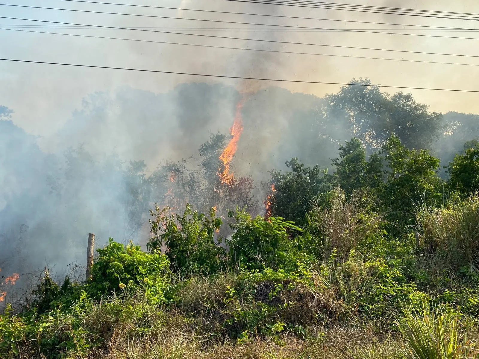 Incêndio atinge propriedade rural às margens da AM-070