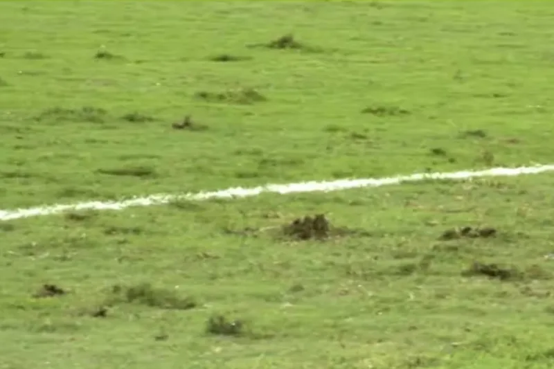 Gramado do estádio na Austrália chama atenção antes de Brasil x Austrália