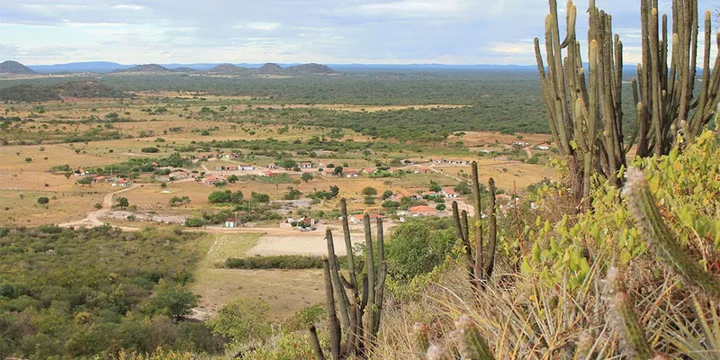 Lei extingue Floresta Nacional de Cristópolis, na Bahia