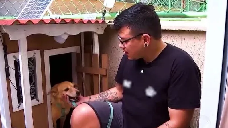 Maggie passa a ter abrigo com ventilação solar contra o calor de Manaus