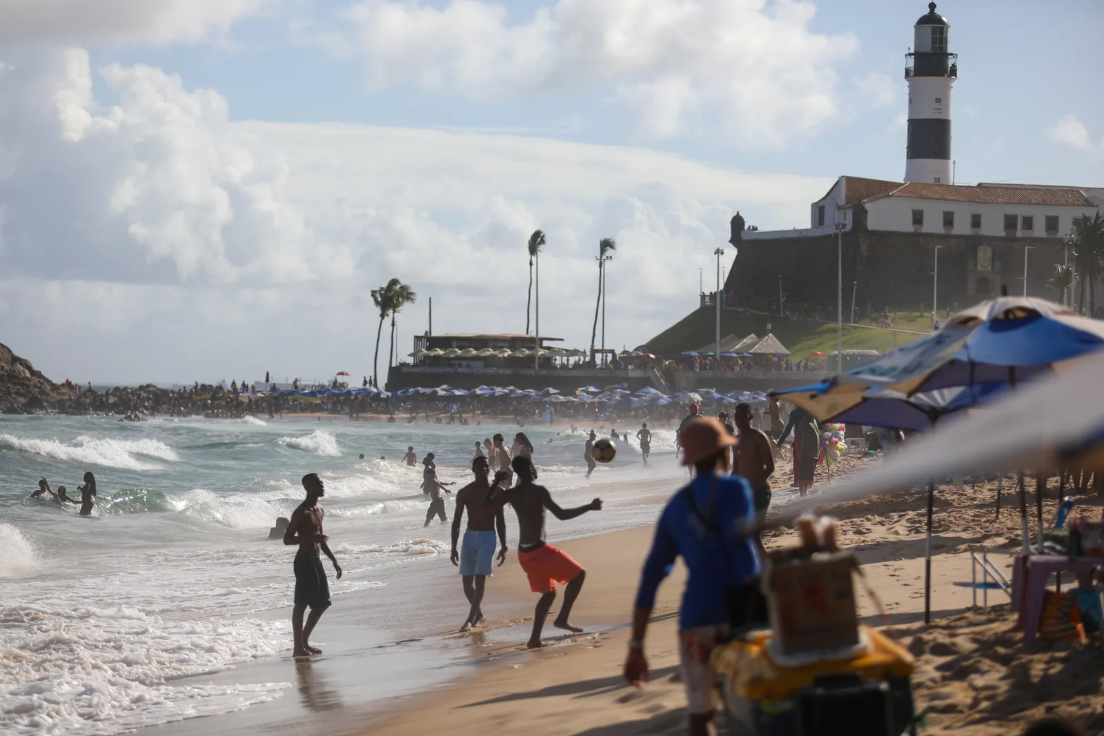 Peixe-leão é capturado perto de banhistas no Porto da Barra, em Salvador