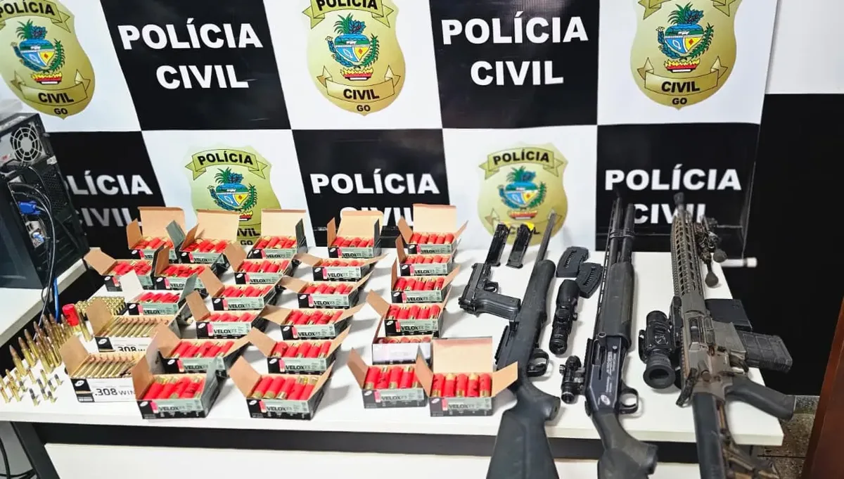 Polícia apreende quatro armas e 420 munições em investigação em Vianópolis