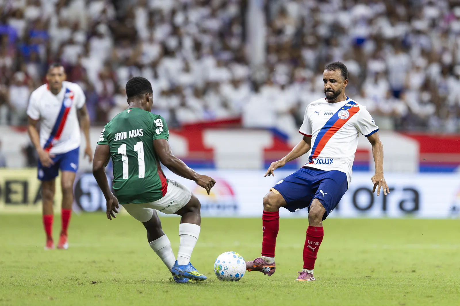 Palmeiras pode ter três desfalques contra o Bahia após jogos da Data Fifa