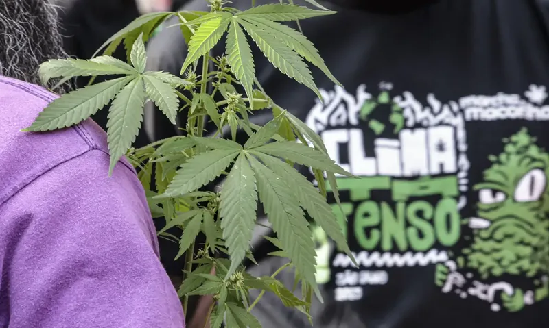 Prisão preventiva é decretada em 60% dos flagrantes por drogas