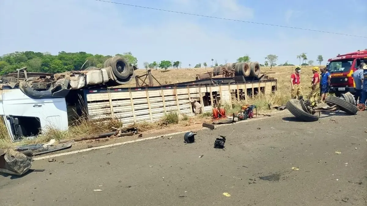 Batida na GO-244 deixa motorista ferido e mata quatro bovinos