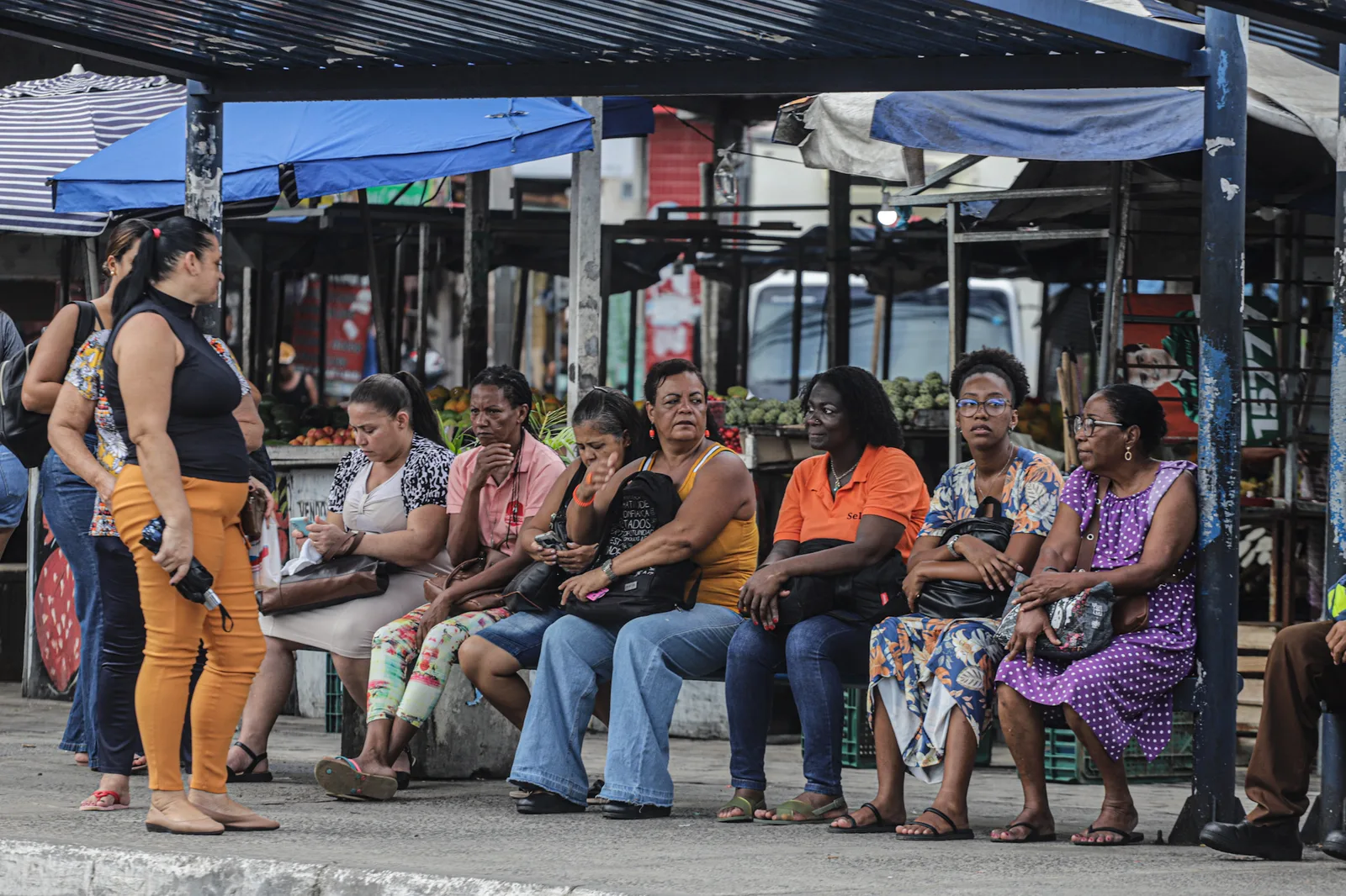 Paralisação nacional de ônibus pode afetar cidades brasileiras na próxima semana